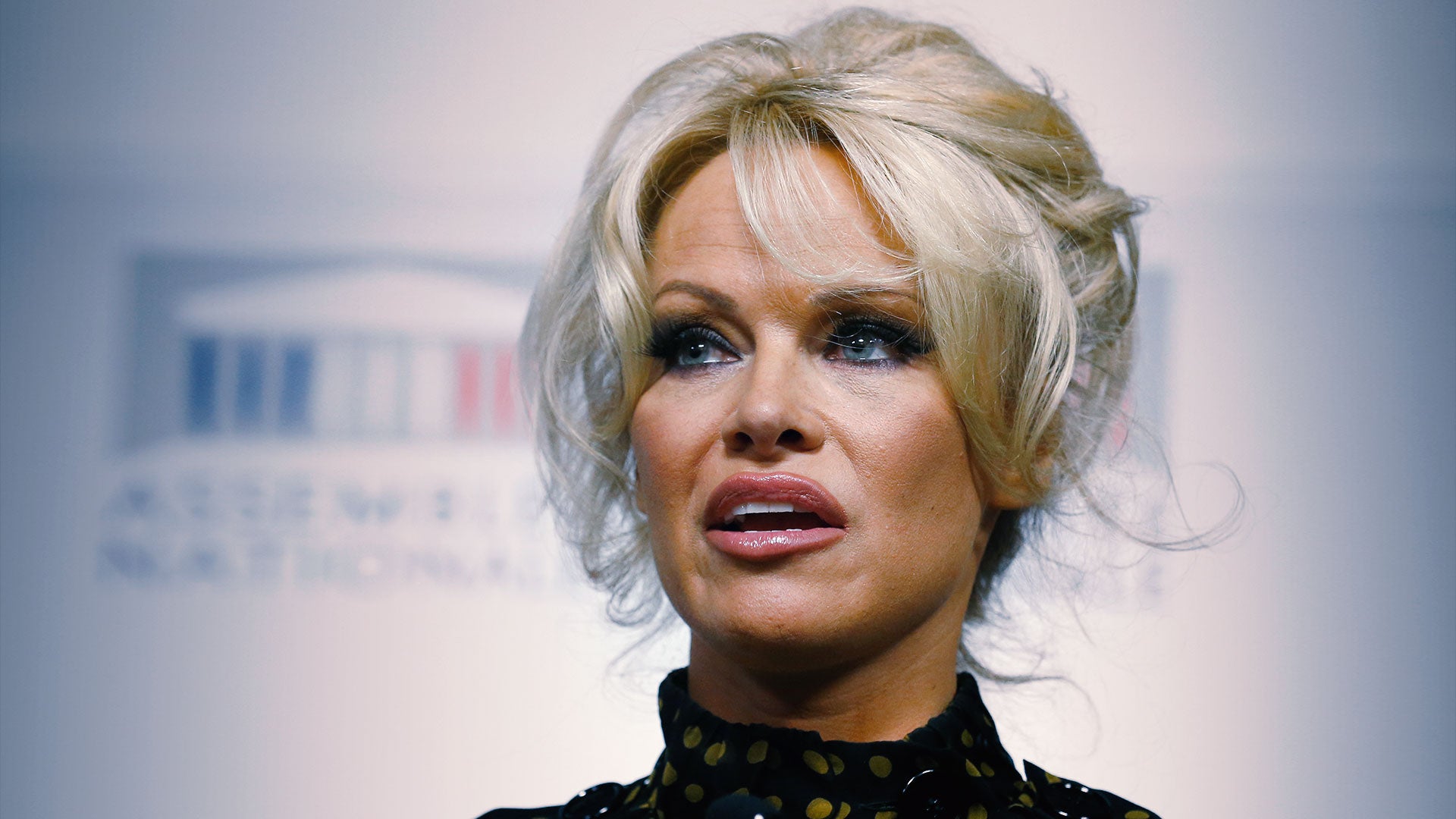 Nudist Hdv - Playboy Girl Pamela Anderson: 'Porn Is For Losers' | CBN News