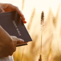 woman-carrying-bible-wheat-1200.png