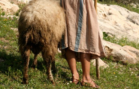 a shepherd on a hillside
