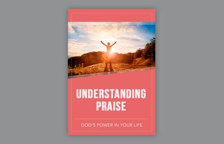 Understanding Praise ebook