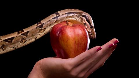 a woman holding an apple wrapped in a snake