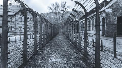 holocaustsurvivor02_hdv.jpg