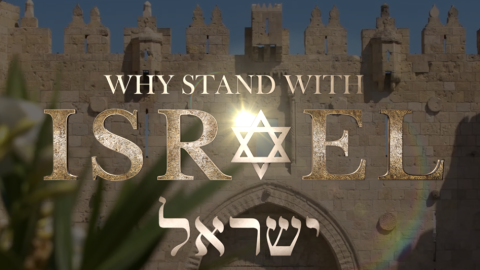 standwithisrael_hdv.png