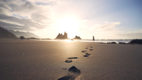 footprints-sand-shoreline-1200.png