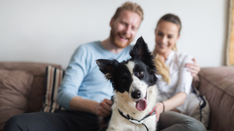 smiling-couple-dog-1200.png