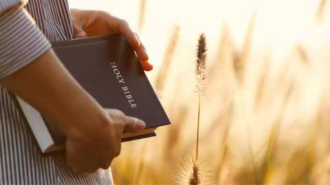 woman-carrying-bible-wheat-1200.png